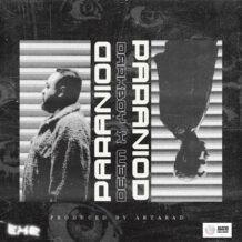 آهنگ جدید دی ام و دارک بوی به نام پارانویید